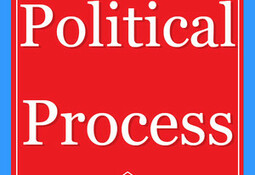 The Political Process