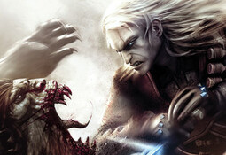 The Witcher