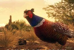theHunter: Call of the Wild - Rancho del Arroyo Xbox One