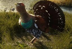 theHunter: Call of the Wild - Revontuli Coast Xbox One