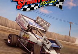 Tony Stewart's Sprint Car Racing
