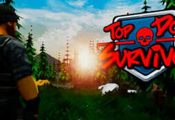 Top Down Survivor