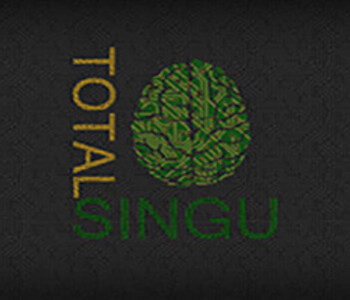 Total Singu