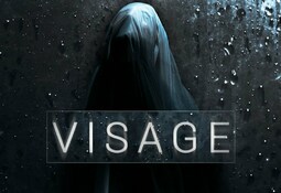 Visage PS4
