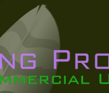 Wing Pro 7 - Commercial Use Upgrade