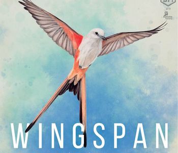 Wingspan