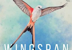Wingspan Nintendo Switch