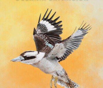 Wingspan: Oceania Expansion