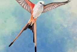Wingspan Xbox One