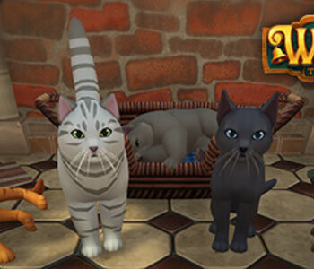 Winkeltje - Cat Companion