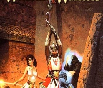 Wizards & Warriors