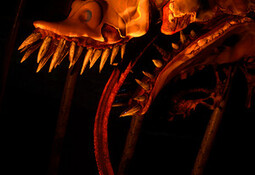 Zoochosis