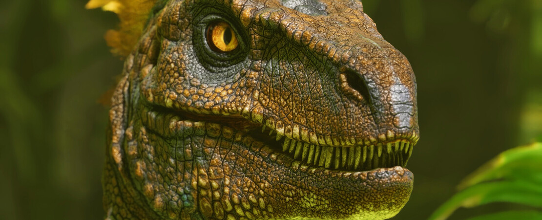 ARK: Survival Ascended - A new adventure begins!