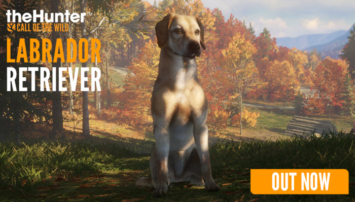 The Hunter Call Of The Wild: A thrilling new world of DLC features