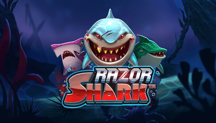 De ultieme gids voor de Razor Shark slot: 