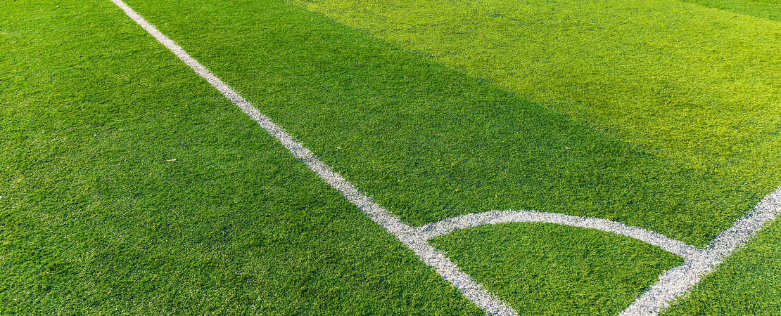 The best Bundesliga tips