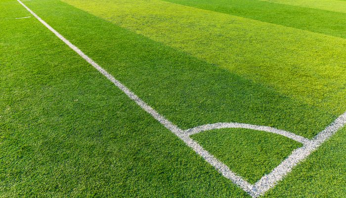 Die besten Bundesliga Tipps