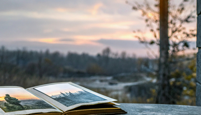 Die besten Emotionen in Videospielen: Ein Blick auf Storytelling: 