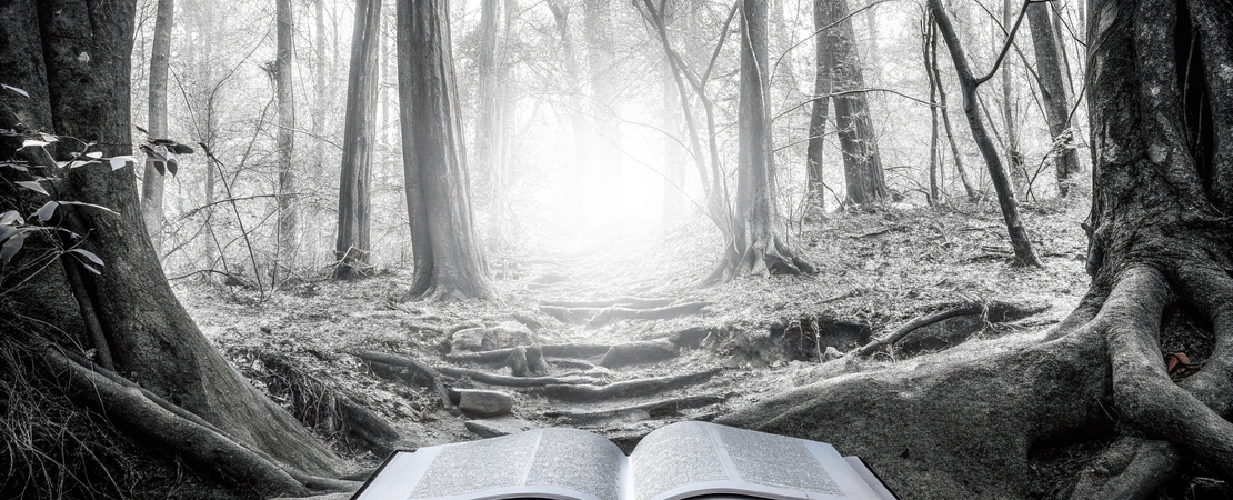 Die besten RPGs für tiefgehendes Storytelling: Ein Guide für Gamer