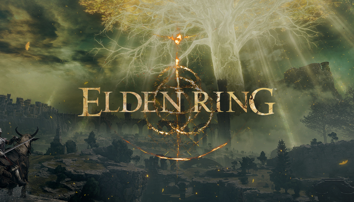 Elden Ring: Coliseum DLC is the first of many