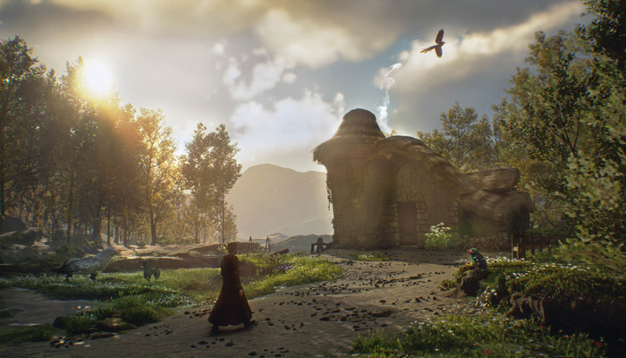 Hogwarts Legacy: Geen plannen voor DLC's