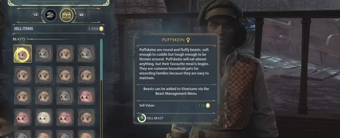 Hogwarts Legacy - Tipps und Tricks zum Geldverdienen