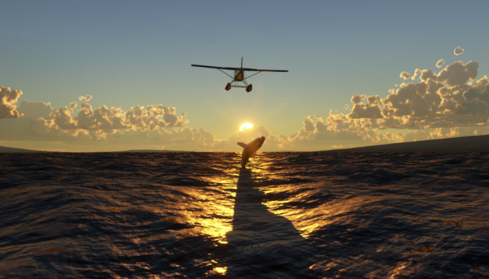 Microsoft Flight Simulator 2024: The Latest Updates