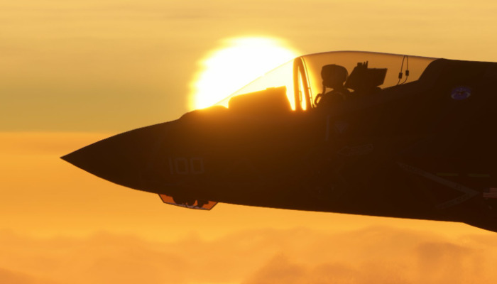Microsoft Flight Simulator: The World from a Bird's Eye View