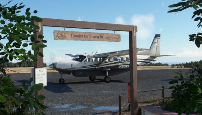 Microsoft Flight Simulator: Virtual Soaring with Insider Tips and Tricks