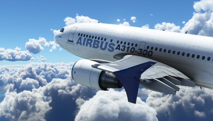 Microsoft Flight Simulator: New Horizons with the City Update V