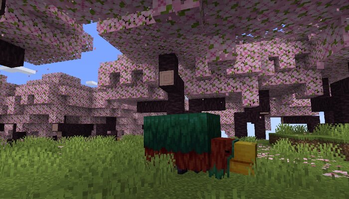 Minecraft: Nieuw kersenbloesem bioma op komst