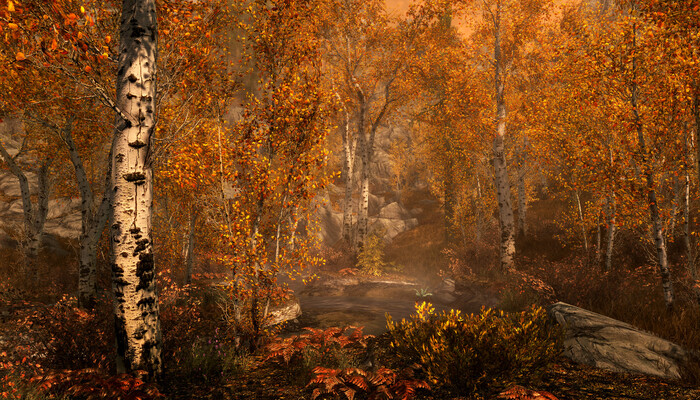 New Skyrim Mod: Adds humorous reactions to invisibility in the game