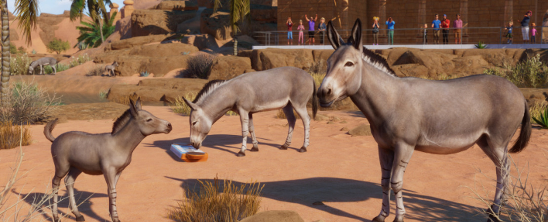 Planet Zoo: Update 1.14.1 - Alle Änderungen und Neuheiten auf einen Blick