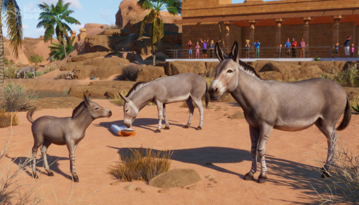 Planet Zoo: Update 1.14.1: All changes and new features at a glance