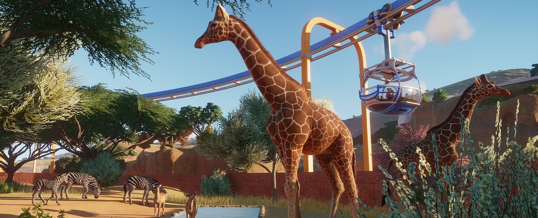 Planet Zoo - Nieuwe update 1.0.3 brengt meer dan 400 verbeteringen met zich mee