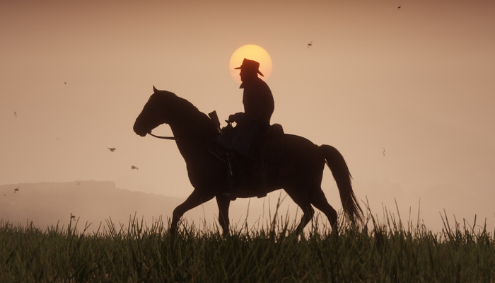 Red Dead Redemption 2 PC startet nicht: Mögliche Lösungen für Fehler beim Spielstart