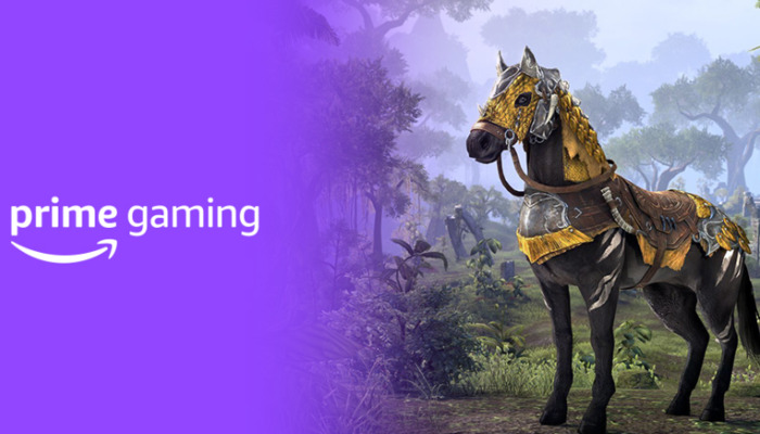 Grab the Dragon Slayer Mount in ESO: How to Secure Exclusive Rewards