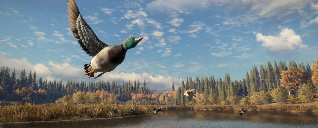 Showcase Update im Spiel theHunter - Alles, was du wissen musst