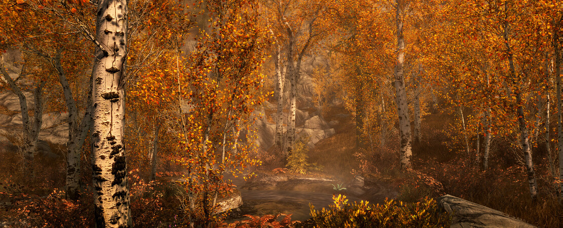 Skyrim - Der neue Starfrost Survival Mod