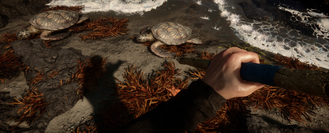 Sons of the Forest - Rekorde geknackt!