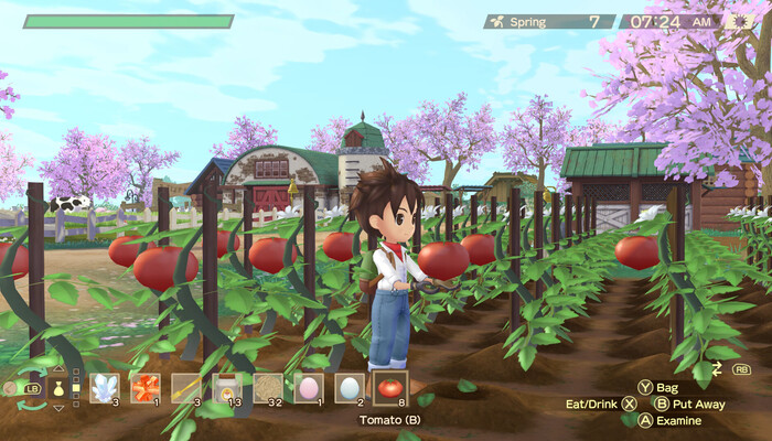Story of Seasons: A Wonderful Life: All Mounts and Pets Rated and Introduced