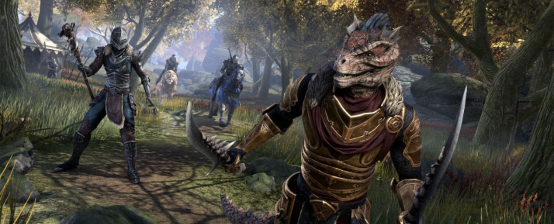The Elder Scrolls Online - Dein Tor zur Fantasy-Welt Tamriel