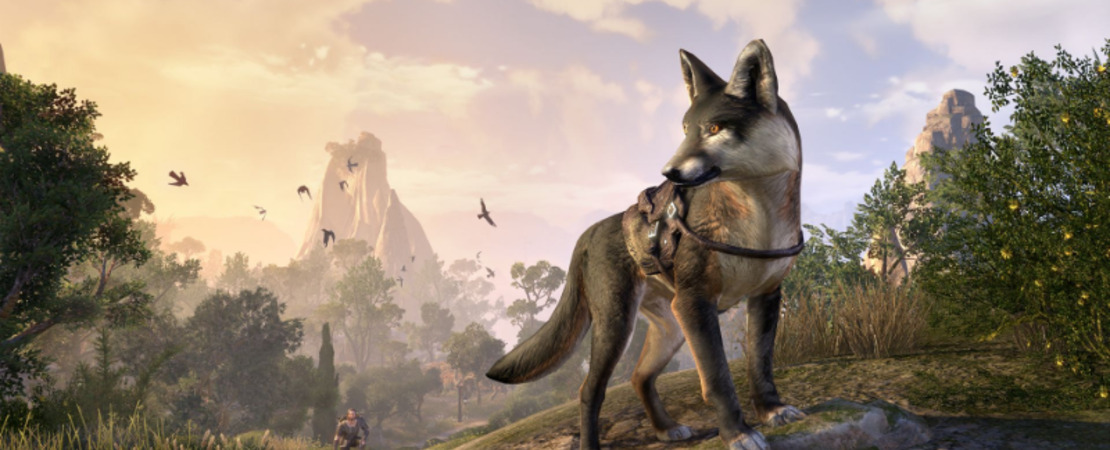 The Elder Scrolls Online - Dein ultimativer Guide für August 2023