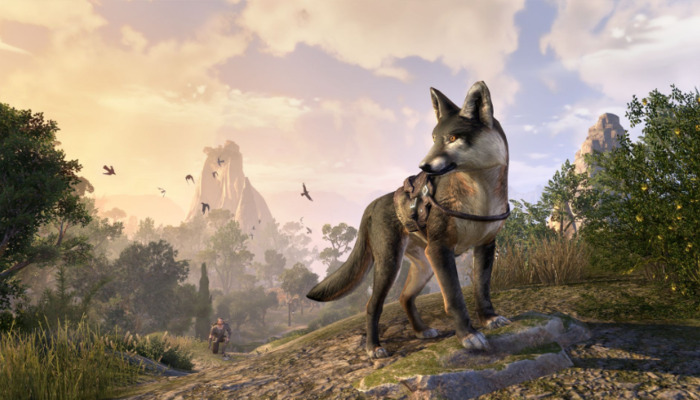 The Elder Scrolls Online: Your Ultimate Guide for August 2023