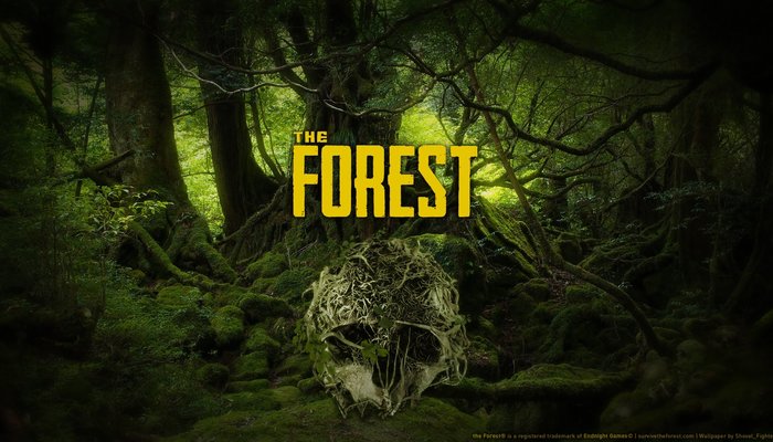 The Forest Key kaufen 🦊 - geprüfte Preise & Händler
