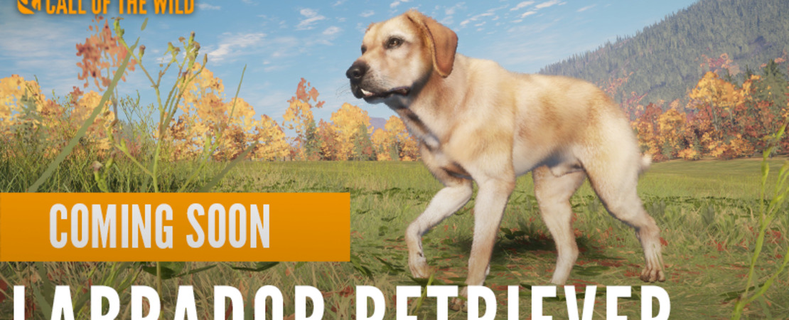The Hunter Call Of The Wild - Your loyal companion in the wilderness
