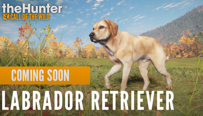 The Hunter Call Of The Wild: Your loyal companion in the wilderness