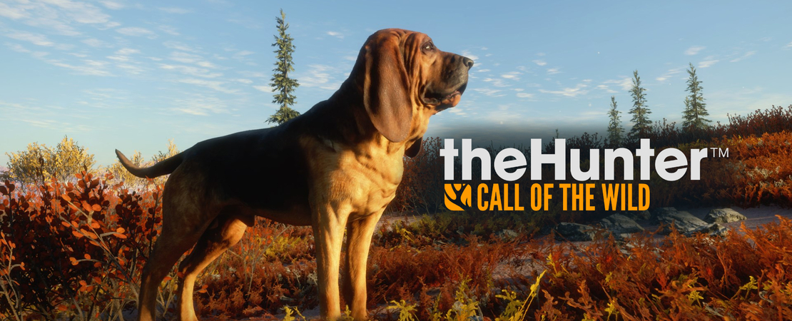 The Hunter: Call Of The Wild - bekommt Bloodhound Dog DLC