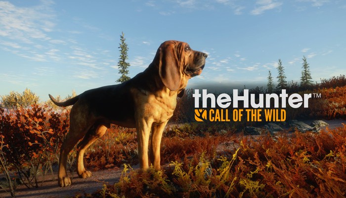 The Hunter Call Of The Wild Dlc Kaufen The Hunter Call Of The Wild Bloodhound Dog DLC Xbox One Key kaufen 🦊