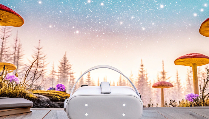 Top 5 Spiele für die Oculus Quest 2: Ein ultimatives VR-Erlebnis: 